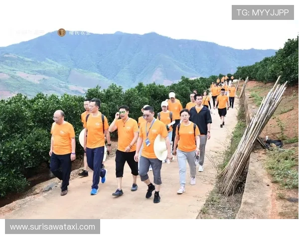 星空媒体官网:探索最新数字媒体技术与行业动态的权威平台 星空媒体官网:探索最新数字媒体技术与行业动态的权威平台