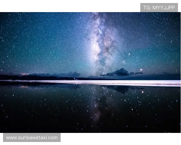 星空电脑版官网提供全方位的用户支持与服务 星空电脑版官网提供全方位的用户支持与服务