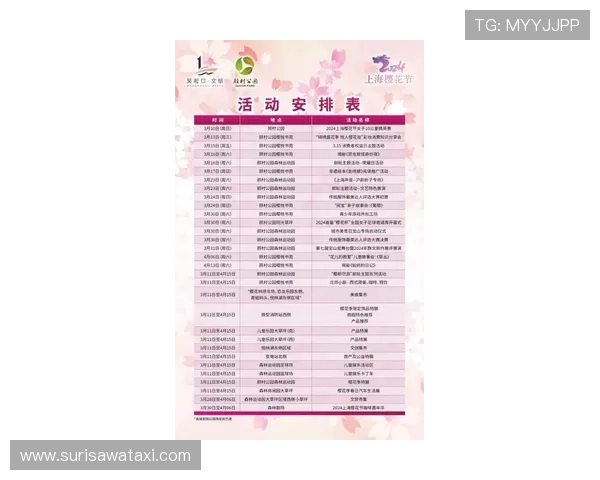 凯发竞咪百家乐策略分析提升获胜几率的实用技巧与建议