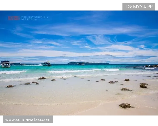 乐动ld体育平台支持雅典娜捕鱼多种热门玩法尽享海底探险之旅