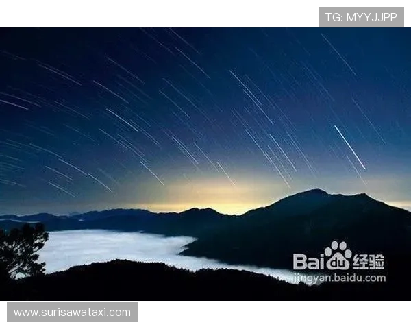 星空软件官方免费下载入口，详细操作步骤与注意事项介绍